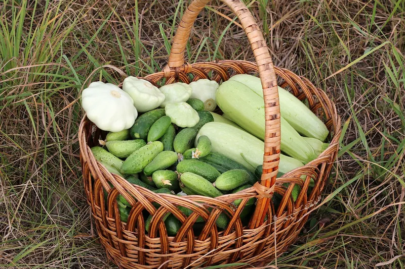 Imagem ilustrativa de arquivo: cesta com vegetais; os produtos não são os da entrega em Teresina